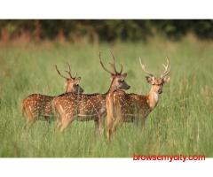 Corbett National Park Package 2 Nights 3 Days INR:6900/-