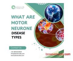 What are Motor Neurone Disease Types