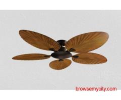 WadBros Teetar F Ceiling Fan