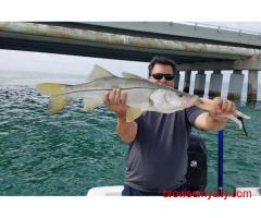 Best Islamorada Fishing Charters | Deep Sea & Offshore Trips in Florida Keys
