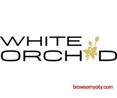 Premium Chair Cover Rental - WhiteOrchid Couture