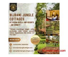 Bijrani Jungle Cottages – Luxury Stay in Jim Corbett