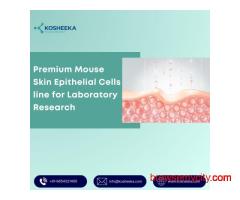 Premium Mouse Skin Epithelial Cells line for Laboratory Research