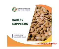 Barley Suppliers – Buy Bulk Barley from Trusted Exporters & Wholesalers
