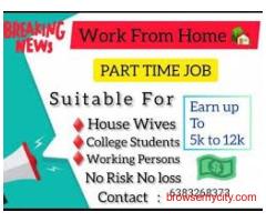 Simple jobs basic knowledge of computer and internet is enough