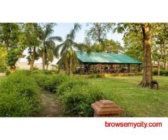Jim Corbett Holi Packages for a Nature-Themed Festival