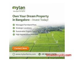 Looking for the Best Property to Buy in Bangalore? Invest Now