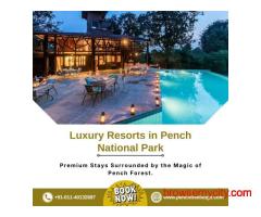 Resorts in Pench National Park for a Luxury Jungle Stay