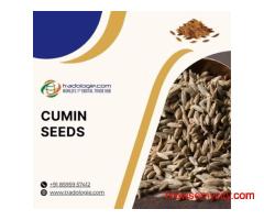 Buy Cumin Seeds Bulk from Cumin Seeds Exporters India | Cumin Seeds B2B Marketplace