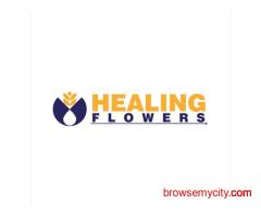 Professional Bach Flower Remedy Consultation – Healing Flower Life