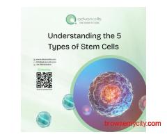 Understanding the 5 Types of Stem Cells
