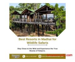 Best Resorts in Madhai for Wildlife Safaris