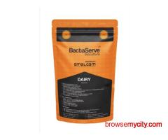 BactaServe Dairy Bioculture | Microbial Solution for Dairy Wastewater Treatment