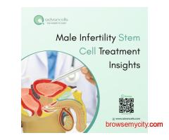 Male Infertility Stem Cell Treatment Insights