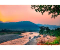 Corbett National  Park Package 2 Nights 3 Days