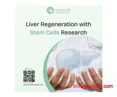 Liver Regeneration with Stem Cells Research