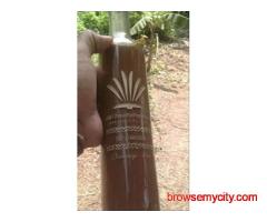 buy ayahuasca online