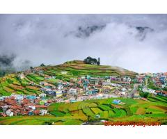 Best Travel Agency for Kodaikanal Tour Packages – Peter Holidays