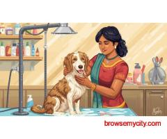 Pet Grooming Service at Home in Mumbai