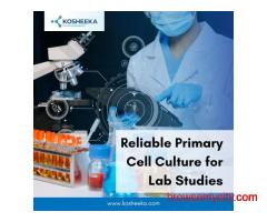 Reliable Primary Cell Culture for Lab Studies