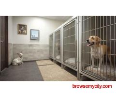 Dog Boarding Services in Kolkata