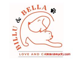 Billu & Bella - Pet Toys Shop in Dwarka