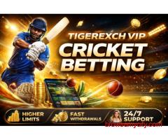 Tigerexch VIP Cricket Betting – Premium Login Access Today