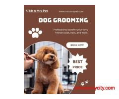 Pet Grooming Service at Home in Amritsar