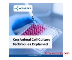 Key Animal Cell Culture Techniques Explained