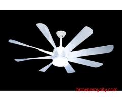 Flamingo Ceiling Fan Supplier for India