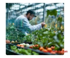 ERP Systems for Food Manufacturers