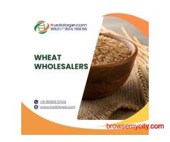 Buy Bulk Wheat Directly from Global Sellers