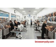 Pet Grooming Service at Home in Surat