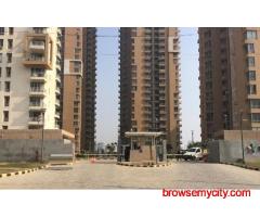 Premium Living Made Easy – Pioneer Park Gurgaon on Rent in Sector 61