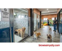 Dog Boarding Services in Bhopal