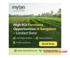 High-Growth Managed Farm Investments Bangalore Opportunities