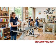 Pet Grooming Service at Home in Bhopal