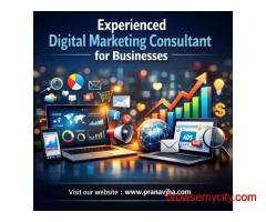 Experienced Digital Marketing Consultant for Businesses