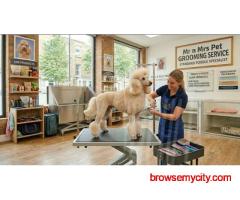 Pet Grooming Service at Home in Mysore