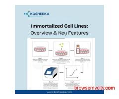 Immortalized Cell Lines: Overview & Key Features