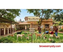 Dog Boarding Services in Bhubaneswar