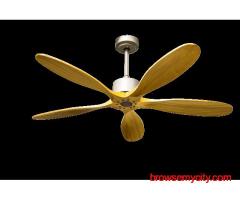 High Quality Stylish Designer Fan