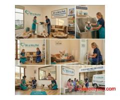 Dog Boarding Services in Faridabad