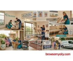 Pet Grooming Service at Home in Faridabad