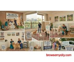 Dog Boarding Services in Kanpur