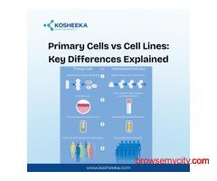 Primary Cells vs Cell Lines: Key Differences Explained