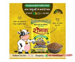 Looking for High Milk Yield? Try Raunak Cattle Feed