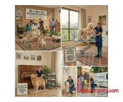 Pet Grooming Service at Home in Kanpur