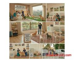 Dog Boarding Services in Ghaziabad