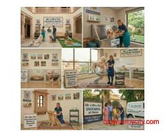 Pet Grooming Service at Home in Ghaziabad